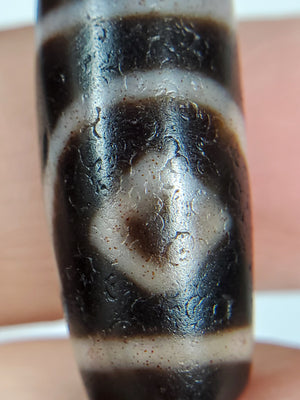 Ancient Tibetan Two Diamond Eye Dzi Bead with Bloodspots (TiD-Anc-XB-TwE-102824)