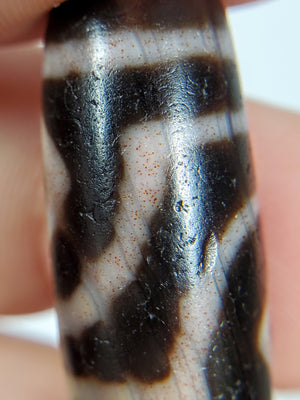 Ancient Tibetan Two Diamond Eye Dzi Bead with Bloodspots (TiD-Anc-XB-TwE-102824)