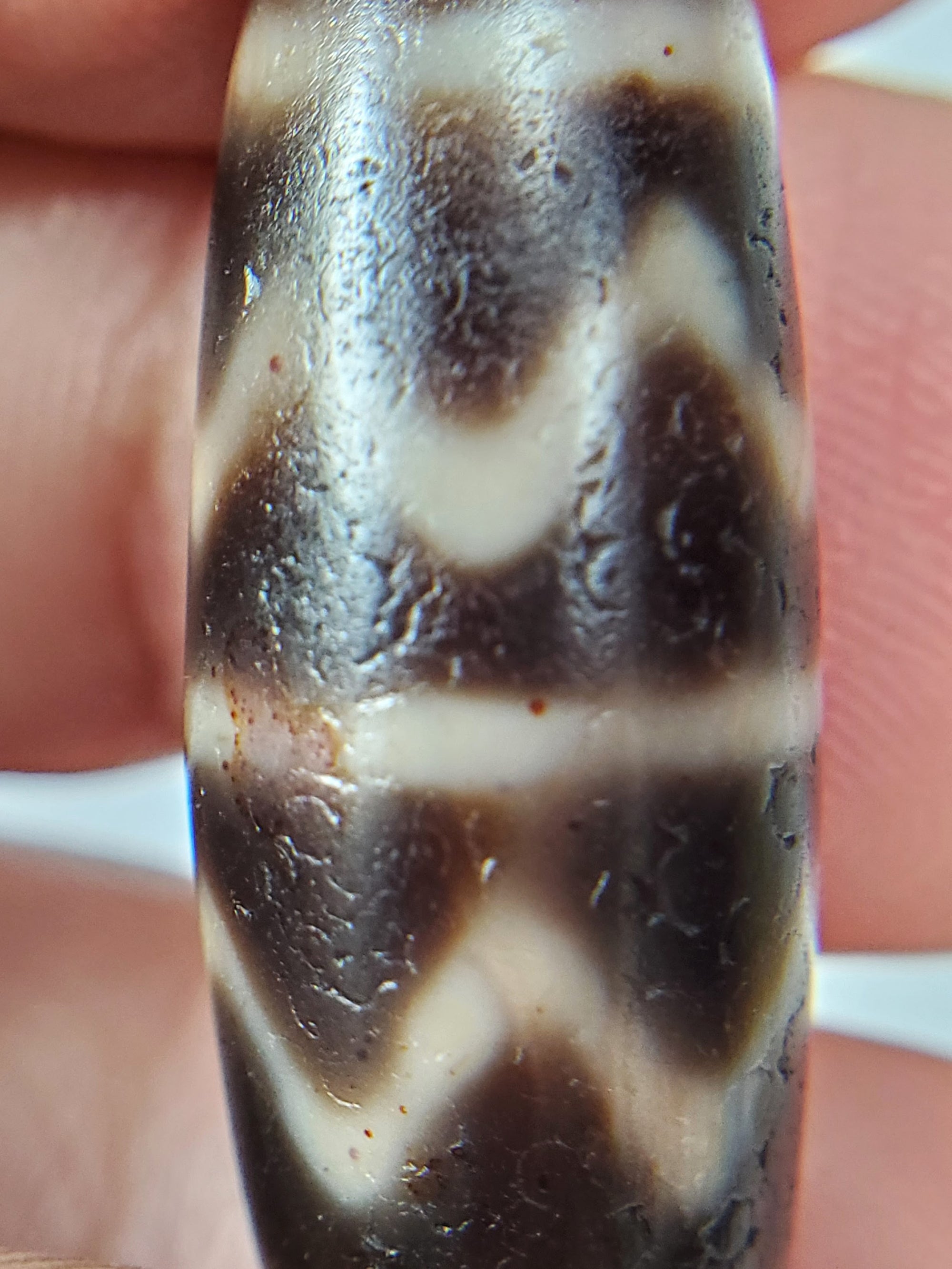 Antique Double Tiger Tooth Motif Dzi Bead with Bloodspots (Ant-B-DTT-102524)