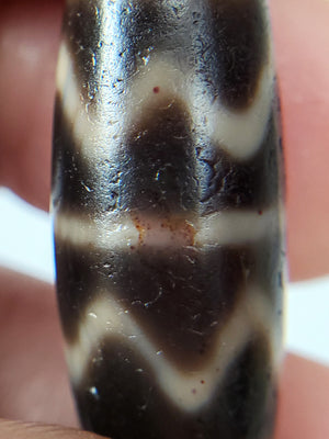 Antique Double Tiger Tooth Motif Dzi Bead with Bloodspots (Ant-B-DTT-102524)