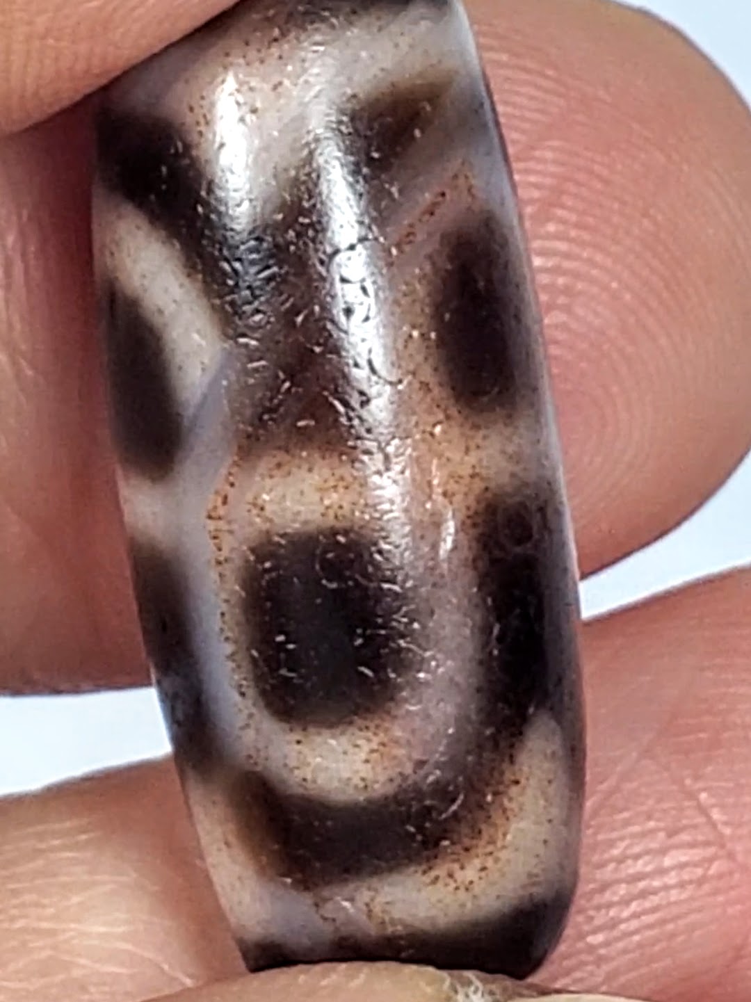 Antique Tibetan Tiger Tooth & Lotus Motif Dzi Bead With Bloodspots (Ant-B-TTL-091124)