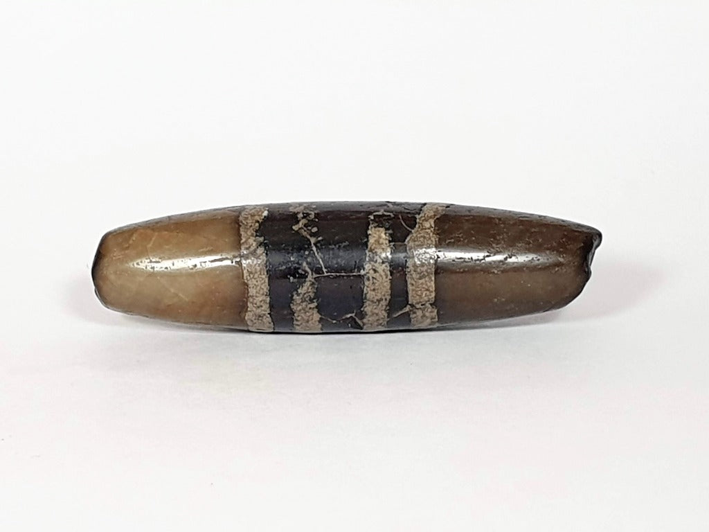 Ancient Seven Stripe Chung Dzi (ACD-SeS-2)- Extremely Old. A rare and remarkable ancient Tibetan bead with seven distinct stripes, representing spiritual significance and cultural heritage