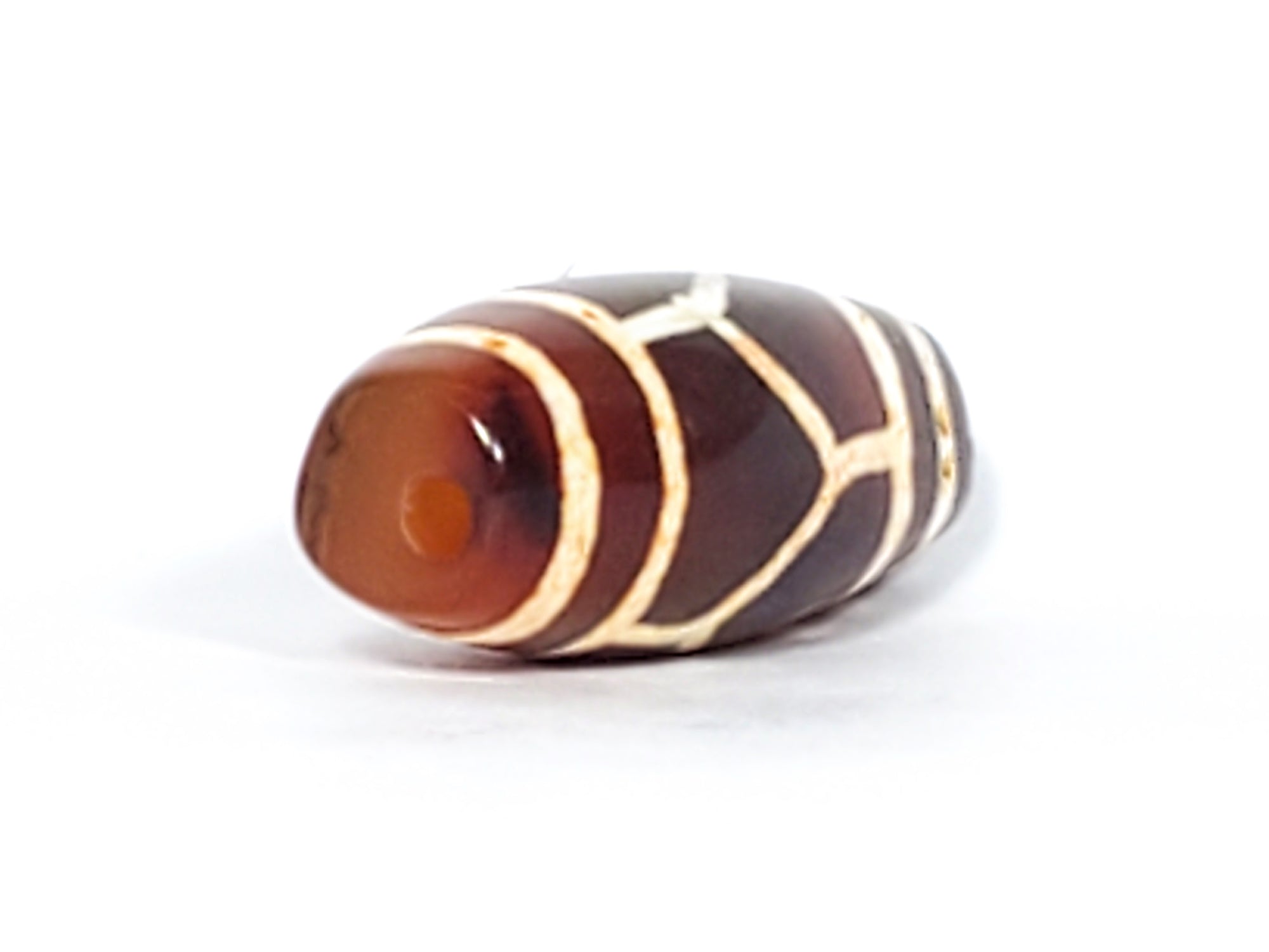 Antique Tortoise Shell Motif Carnelian Dzi (CZ003)