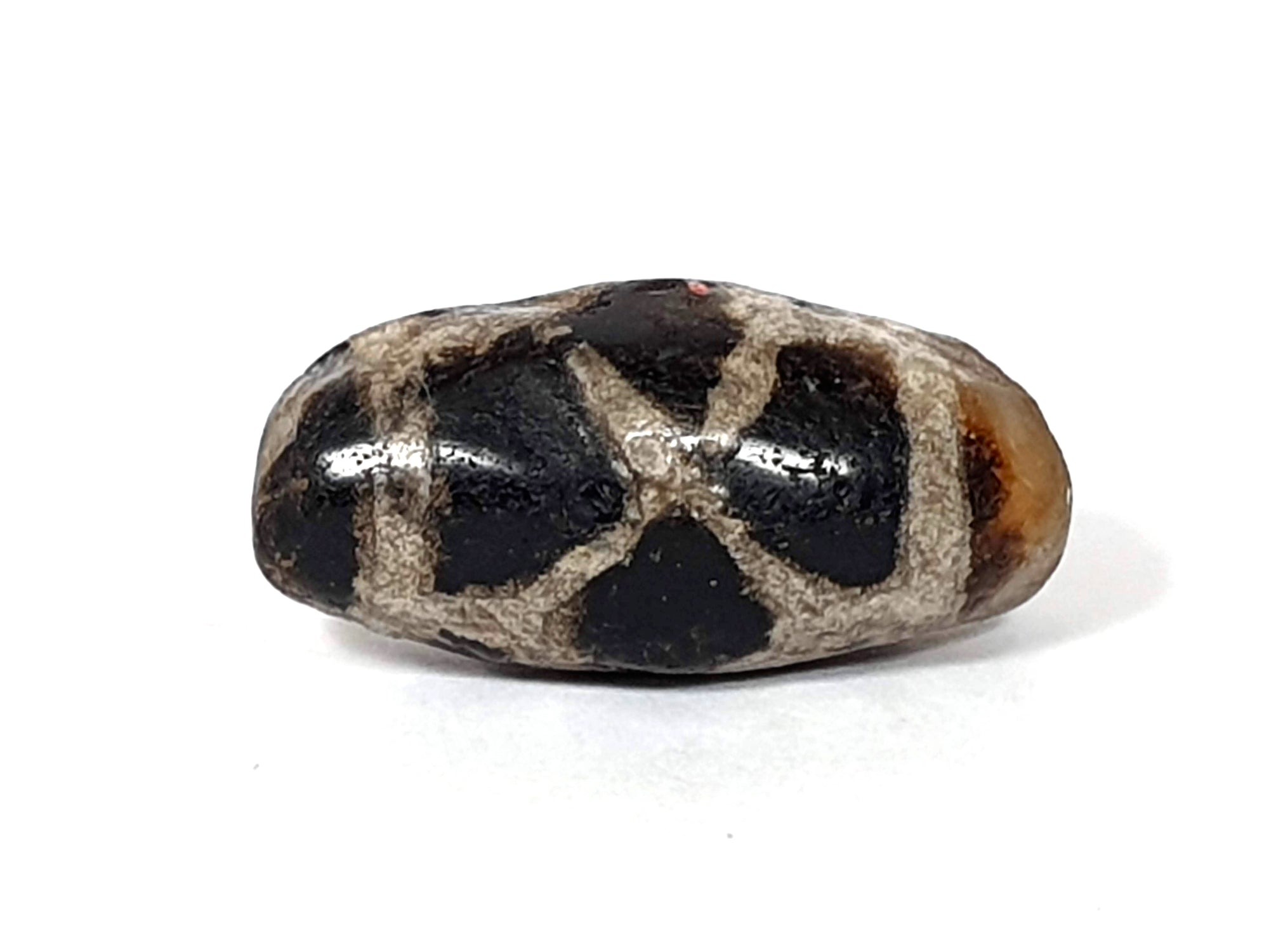 Ancient Tortoise Shell Motif Dzi Bead - Extremely Old