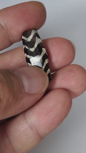  Ancient Dzi Bead - Five Tiger Stripe Motif Carnelian with Calcification. A highly collectible ancient Dzi bead carved from Carnelian, showcasing an intricate Five Tiger Stripe motif. The bead presents intriguing calcification patterns, making it a unique and sought-after piece among collectors. The Five Tiger Stripe motif carries ancient symbolism associated with strength, bravery, and protection